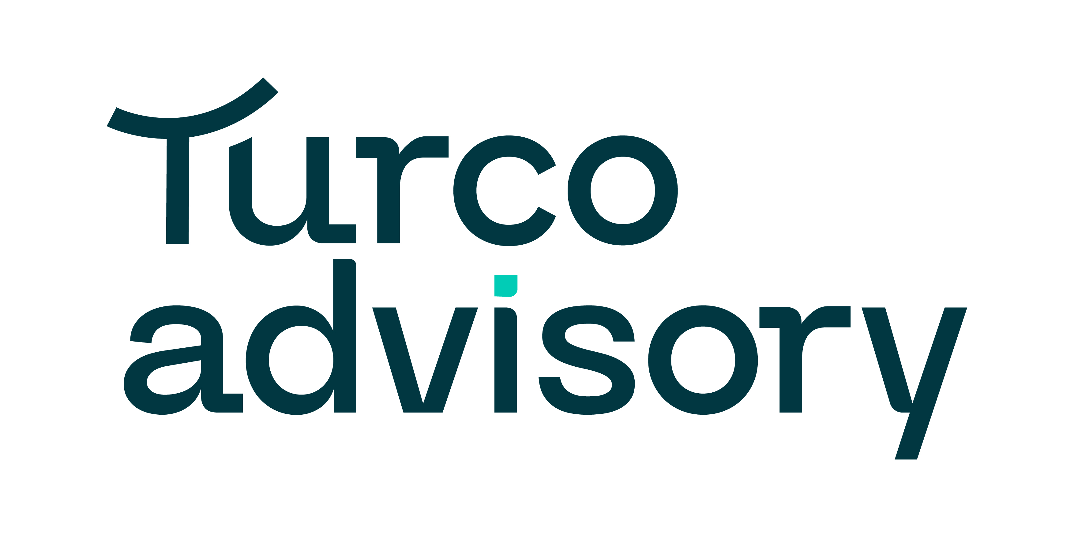 TURCO ADVISORY logo