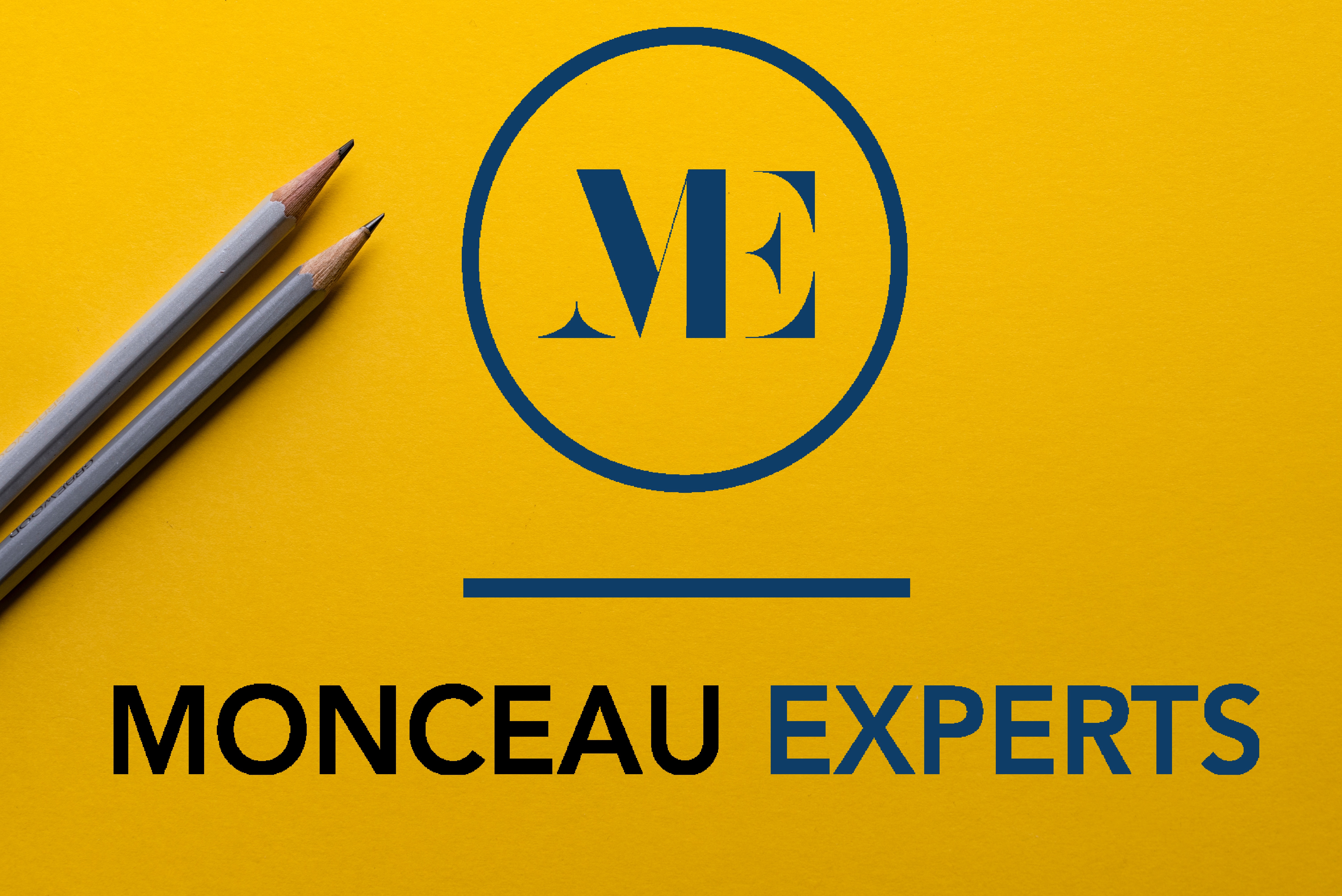 Elodie Fort - MONCEAU EXPERTS