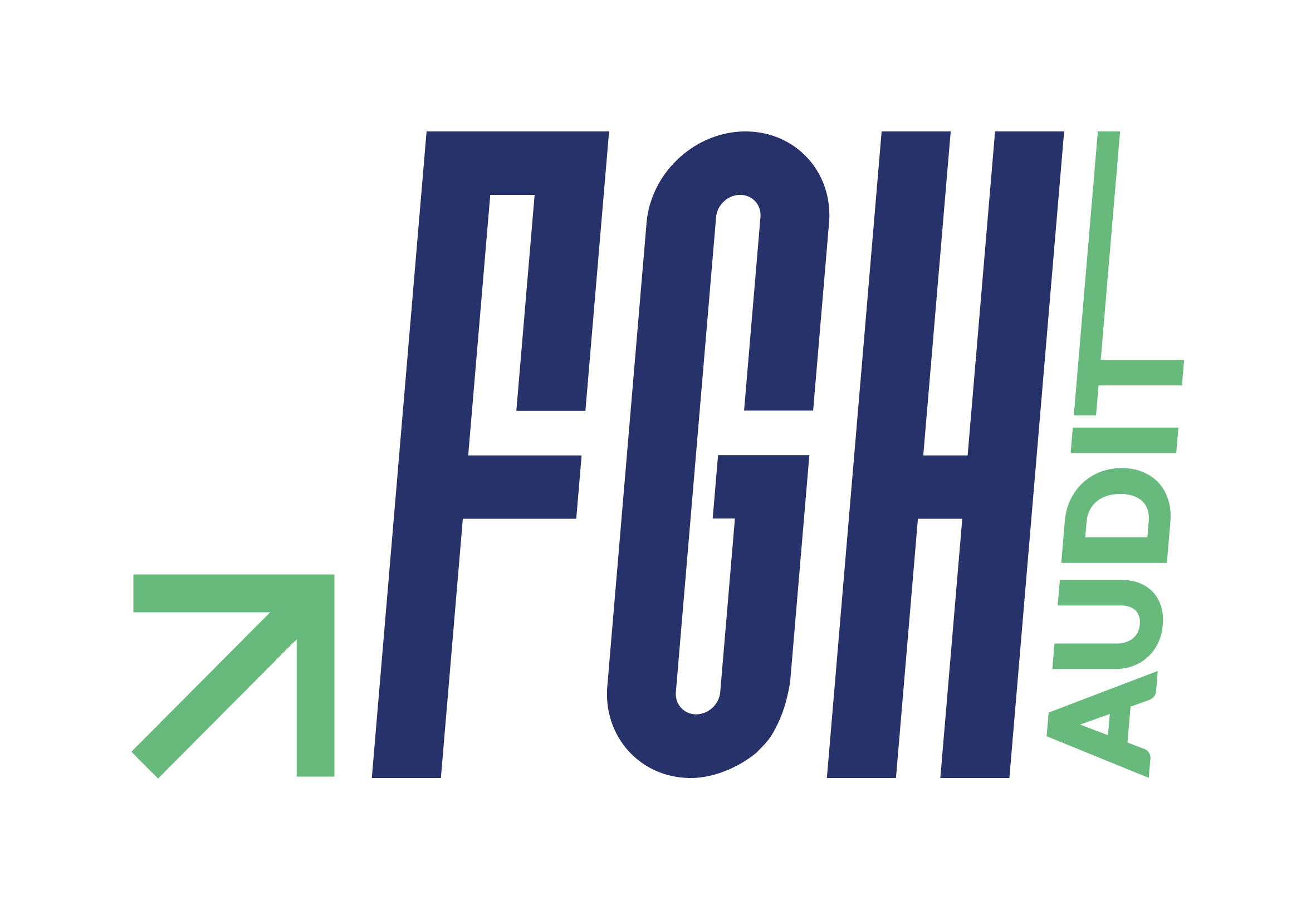 FGH AUDIT logo