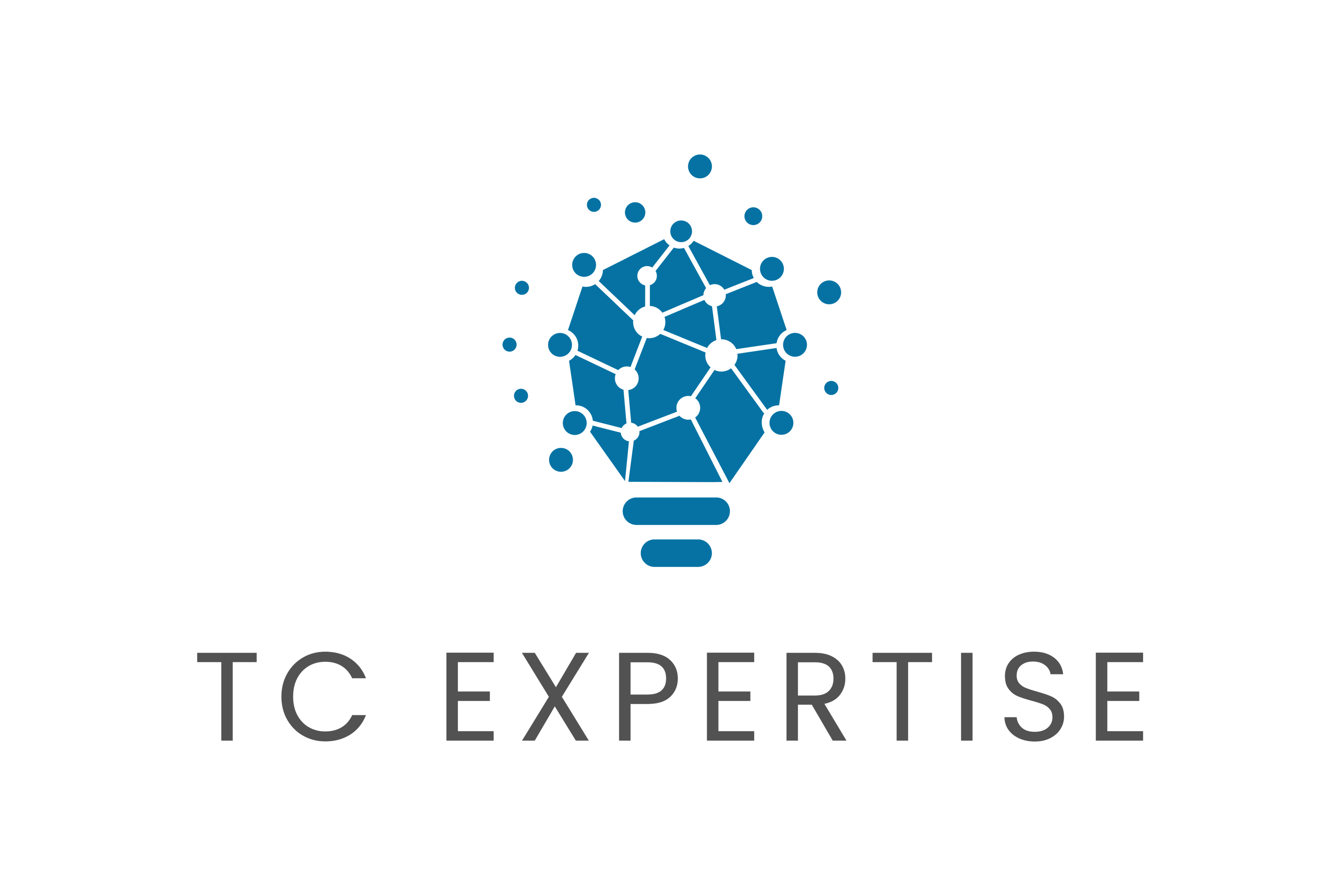 TC EXPERTISE logo