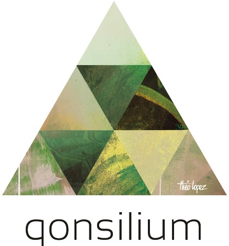 QONSILIUM logo