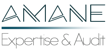 AMANE EXPERTISE ET AUDIT logo