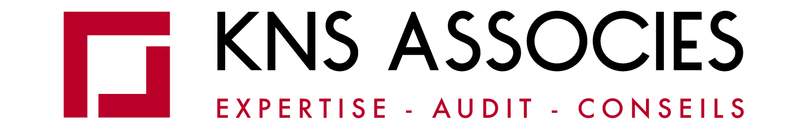 KNS ASSOCIES logo