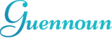 GUENNOUN CONSEILS logo