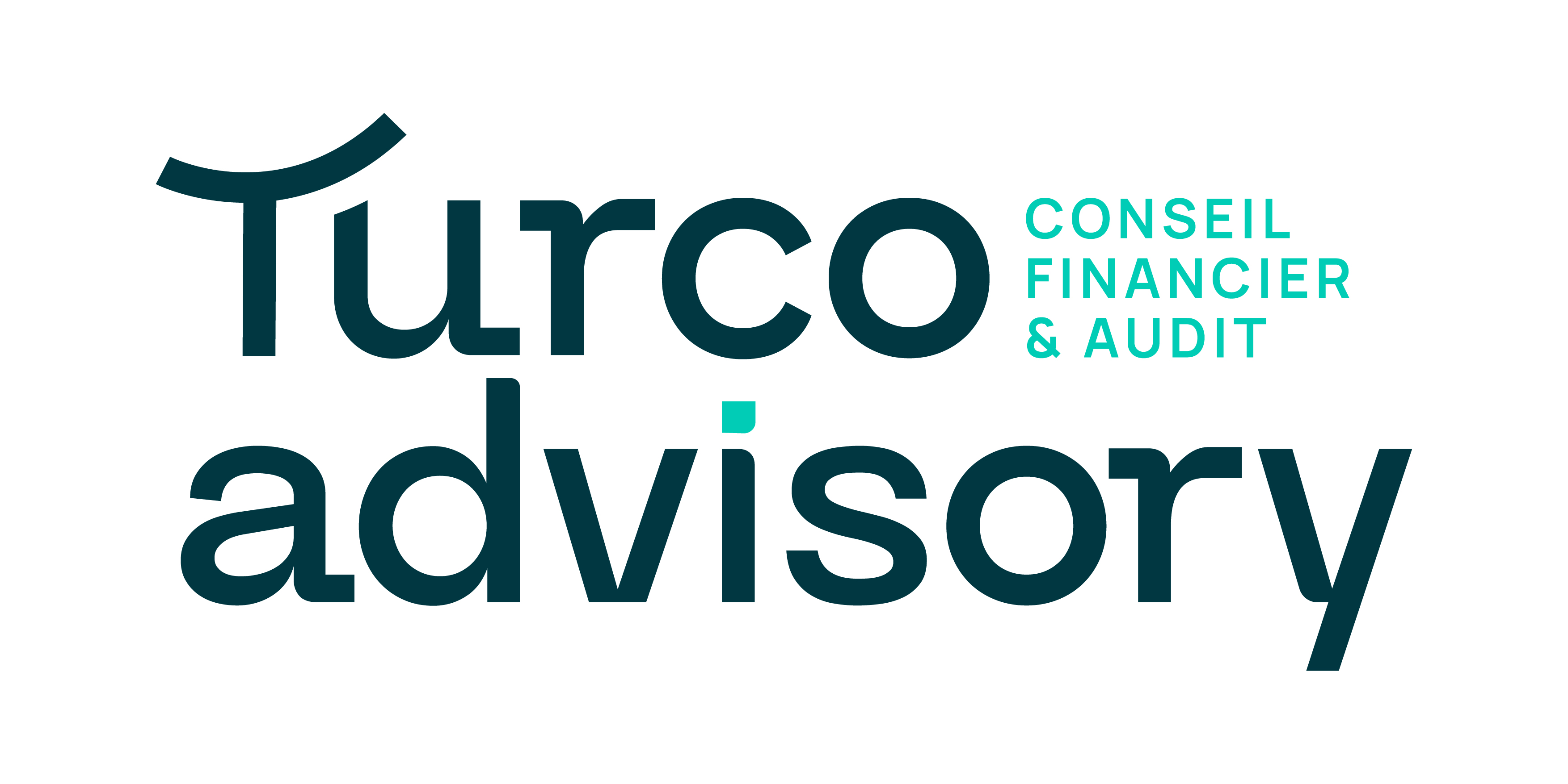 TURCO ADVISORY logo