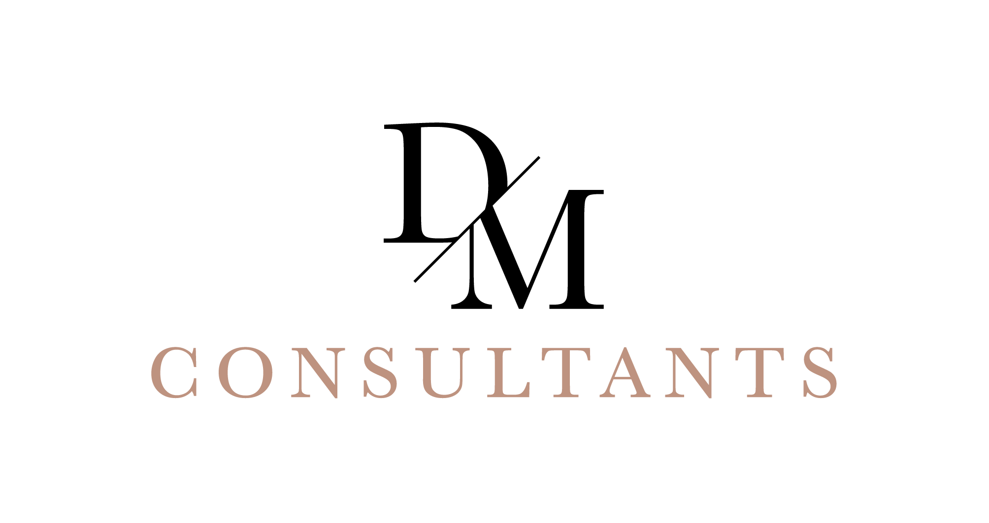 DM CONSULTANTS & ASSOCIES logo