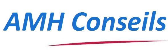 AMH CONSEILS logo