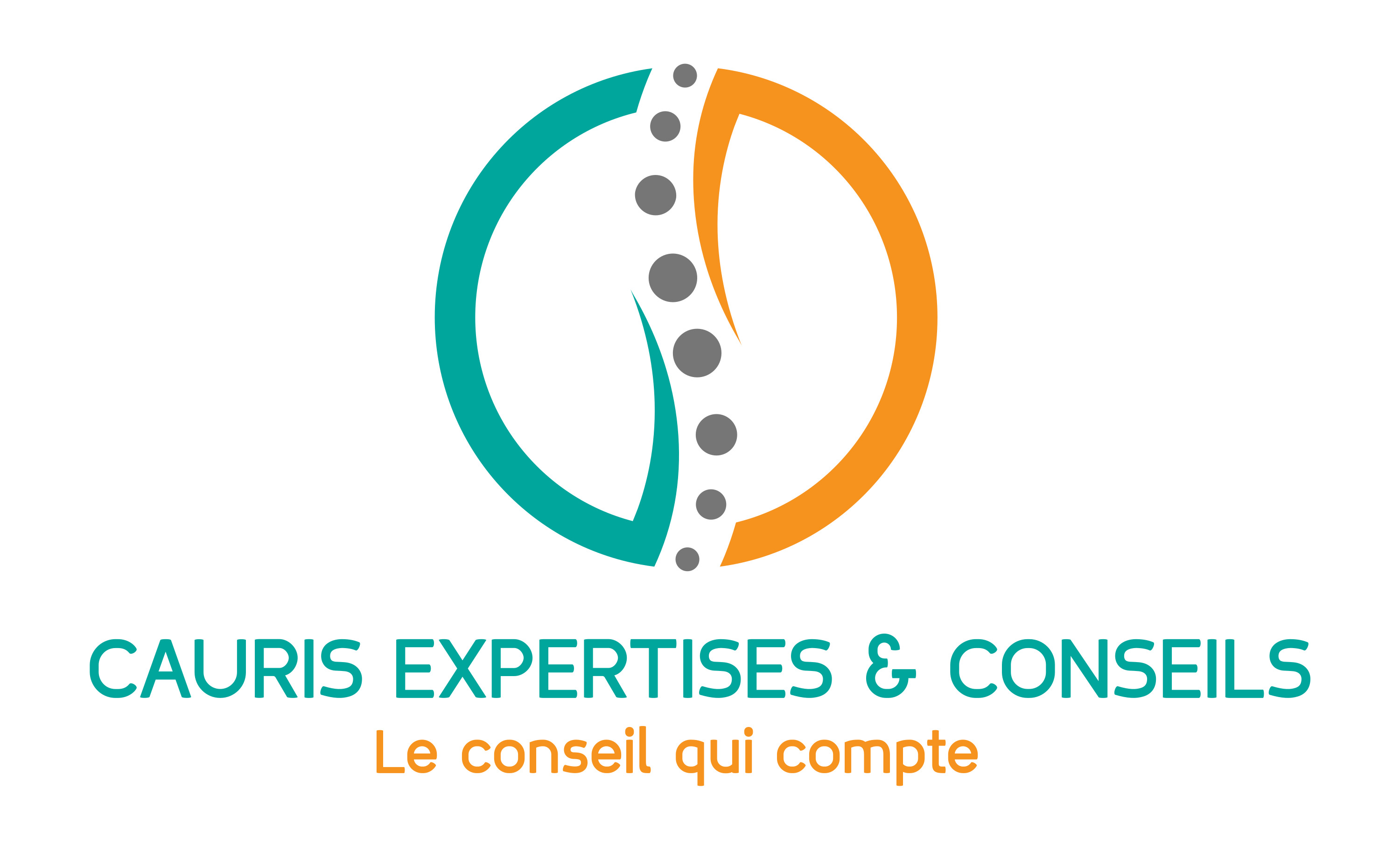 CAURIS EXPERTISES & CONSEILS logo
