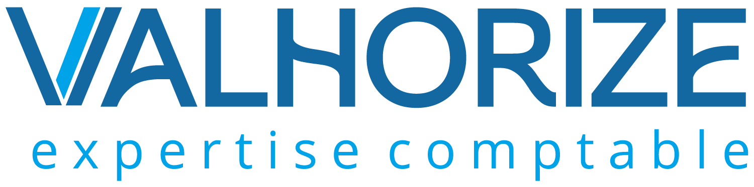 VALHORIZE logo