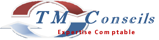 TM CONSEILS logo