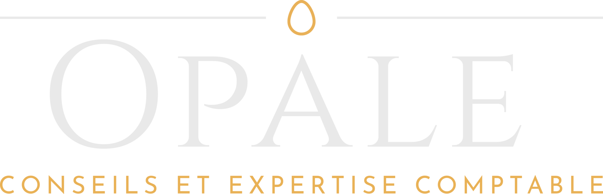 OPALE - CONSEILS & EXPERTISE COMPTABLE logo