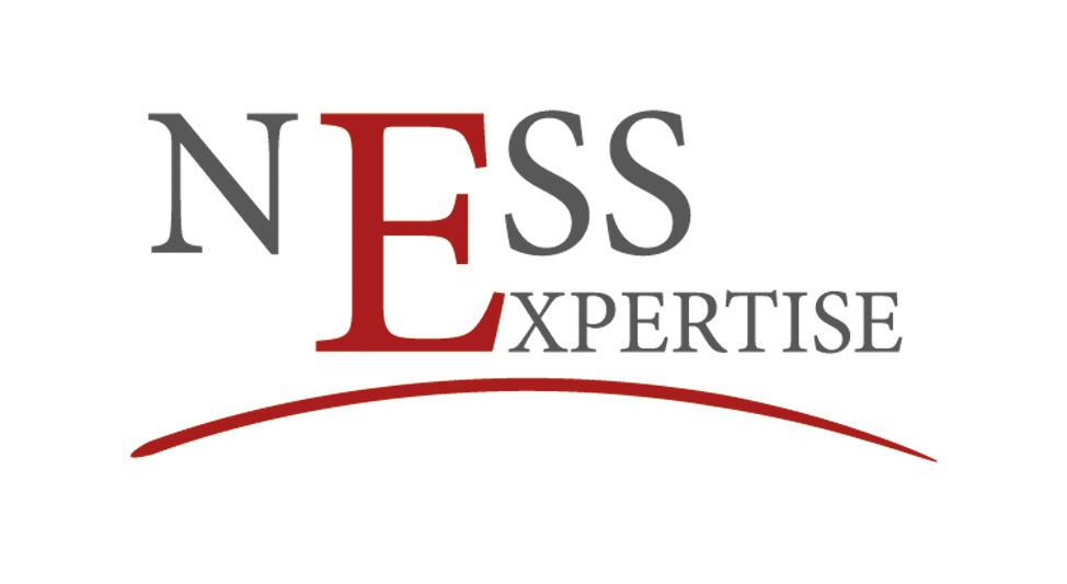 NESS EXPERTISE logo