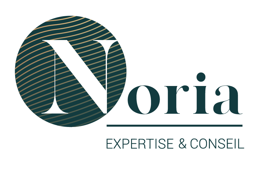 NORIA EXPERTISE & CONSEIL logo
