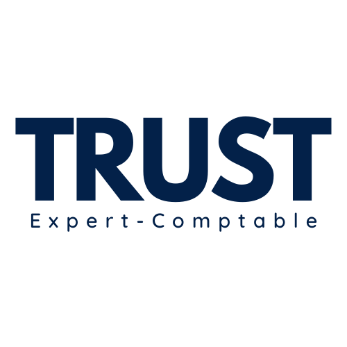 TRUST CONSULTING logo
