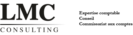 LMC CONSULTING logo